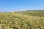 Уважаемые жители Успенского района!